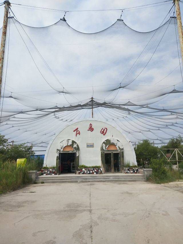 图片5