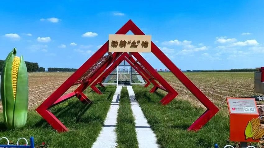 微信图片_20240811142720